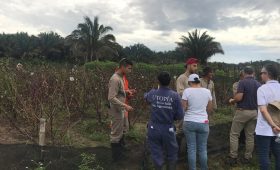 1225-utopia-noticia-fundacion-fraternidad